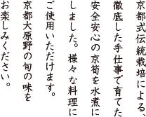 京都式伝統栽培による、徹底した手仕事で育てた安全安心の京筍を水煮にしました。様々な料理にご使用いただけます。京都大原野の旬の味をお楽しみください。